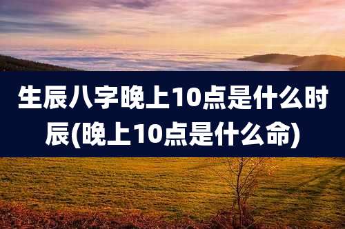生辰八字晚上10点是什么时辰(晚上10点是什么命)
