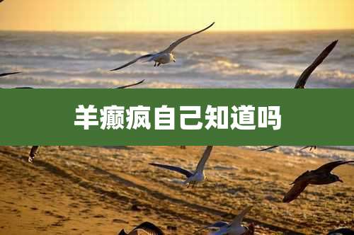 羊癫疯自己知道吗