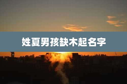 姓夏男孩缺木起名字