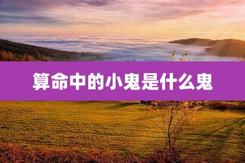 算命中的小鬼是什么鬼
