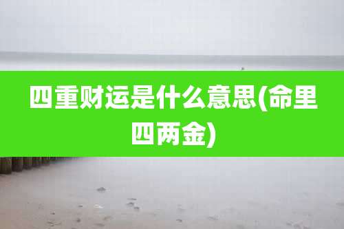 四重财运是什么意思(命里四两金)