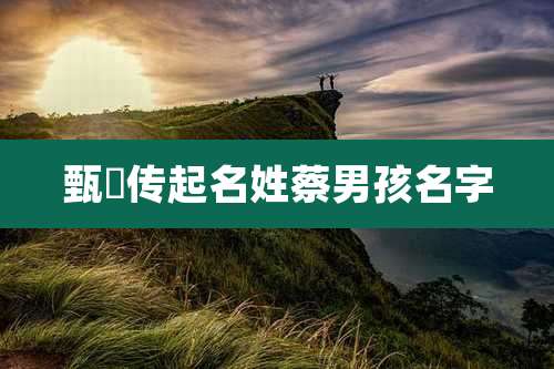 甄嬛传起名姓蔡男孩名字