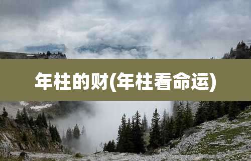 年柱的财(年柱看命运)