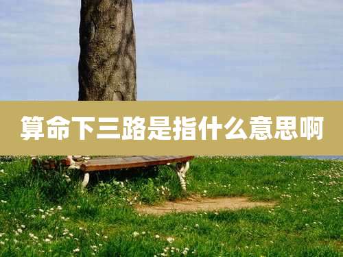 算命下三路是指什么意思啊