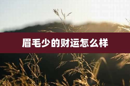 眉毛少的财运怎么样
