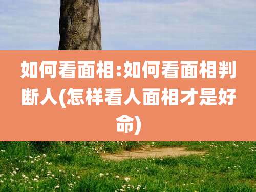 如何看面相:如何看面相判断人(怎样看人面相才是好命)
