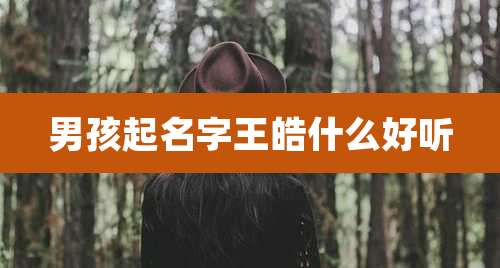 男孩起名字王皓什么好听