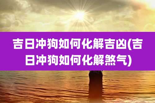 吉日冲狗如何化解吉凶(吉日冲狗如何化解煞气)