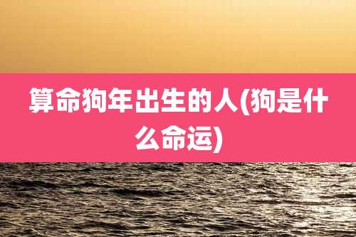 算命狗年出生的人(狗是什么命运)