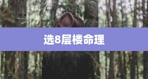 选8层楼命理