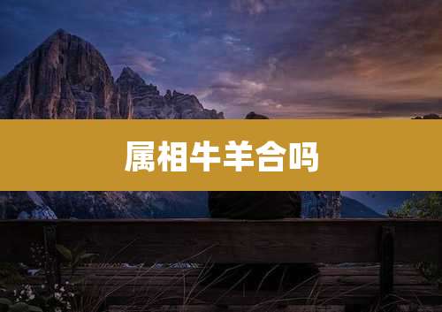 属相牛羊合吗