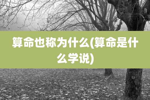 算命也称为什么(算命是什么学说)