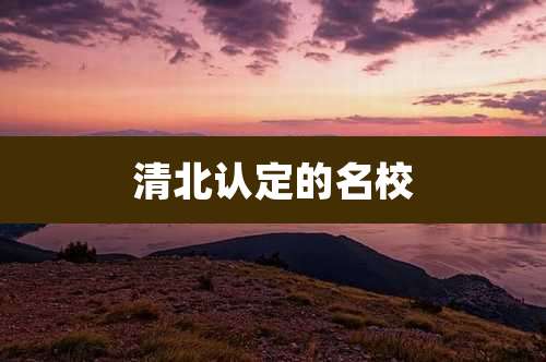 清北认定的名校