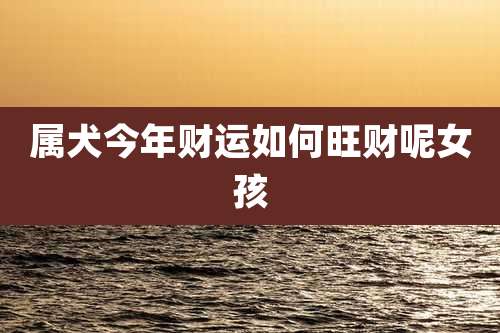 属犬今年财运如何旺财呢女孩