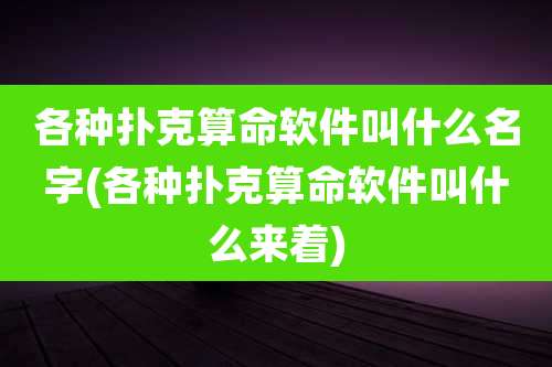 各种扑克算命软件叫什么名字(各种扑克算命软件叫什么来着)