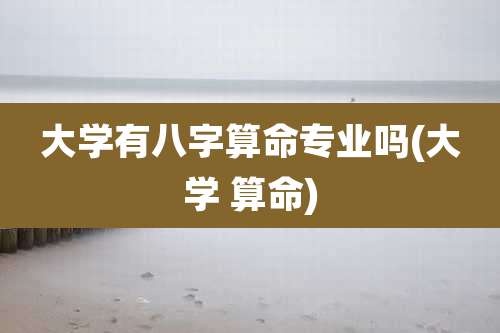 大学有八字算命专业吗(大学 算命)