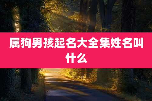 属狗男孩起名大全集姓名叫什么