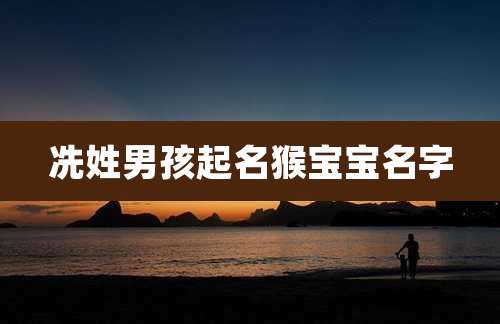 冼姓男孩起名猴宝宝名字