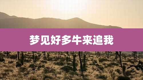 梦见好多牛来追我