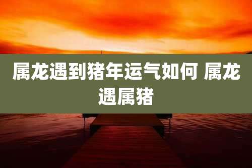 属龙遇到猪年运气如何 属龙遇属猪