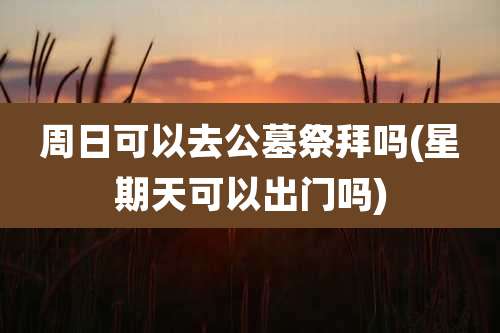 周日可以去公墓祭拜吗(星期天可以出门吗)