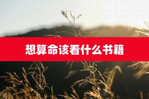 想算命该看什么书籍