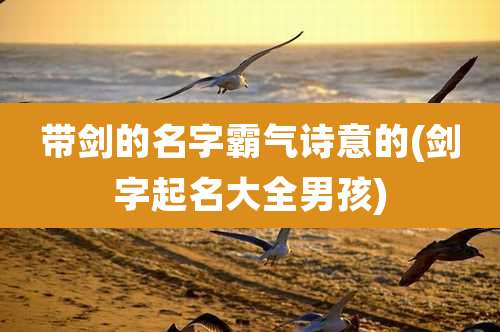 带剑的名字霸气诗意的(剑字起名大全男孩)