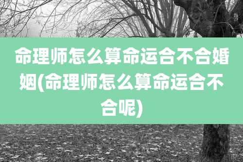 命理师怎么算命运合不合婚姻(命理师怎么算命运合不合呢)