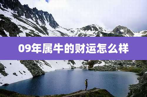 09年属牛的财运怎么样