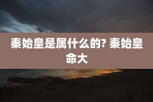 秦始皇是属什么的? 秦始皇命大