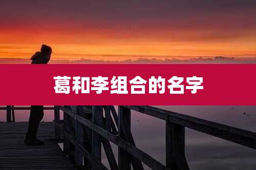 葛和李组合的名字