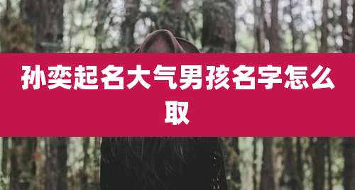 孙奕起名大气男孩名字怎么取