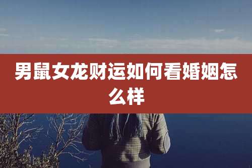 男鼠女龙财运如何看婚姻怎么样