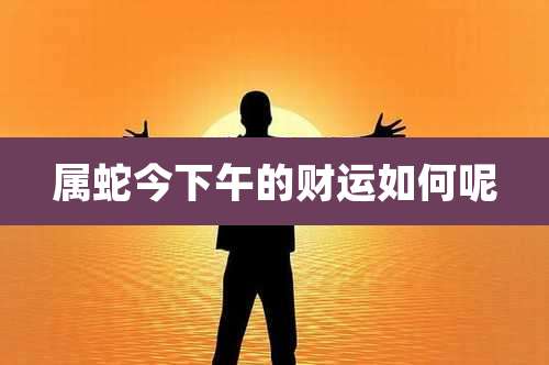 属蛇今下午的财运如何呢