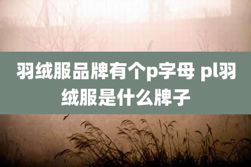 羽绒服品牌有个p字母 pl羽绒服是什么牌子