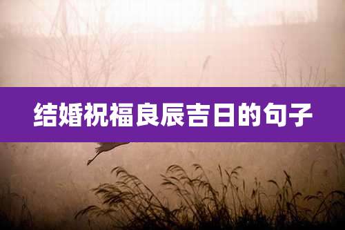 结婚祝福良辰吉日的句子