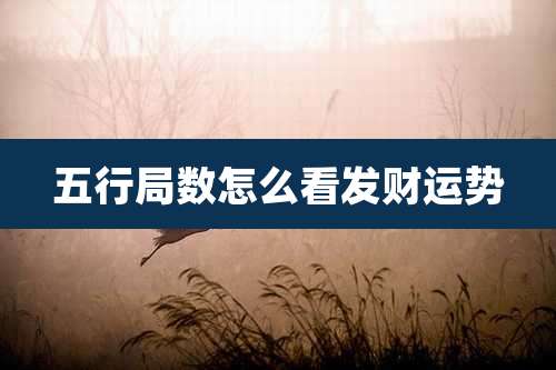 五行局数怎么看发财运势