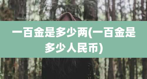 一百金是多少两(一百金是多少人民币)