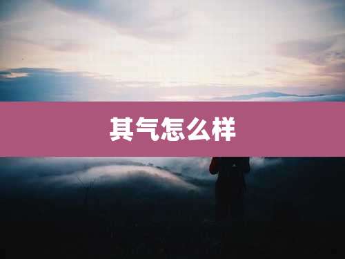 其气怎么样