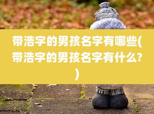 带浩字的男孩名字有哪些(带浩字的男孩名字有什么?)