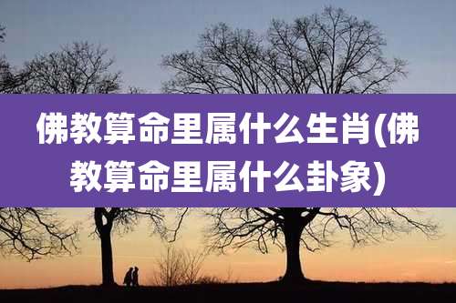 佛教算命里属什么生肖(佛教算命里属什么卦象)