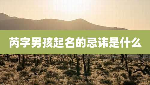 芮字男孩起名的忌讳是什么