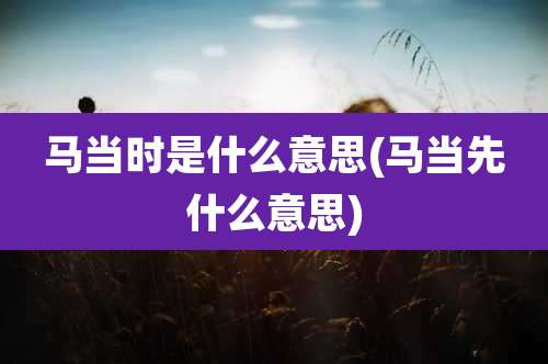 马当时是什么意思(马当先什么意思)