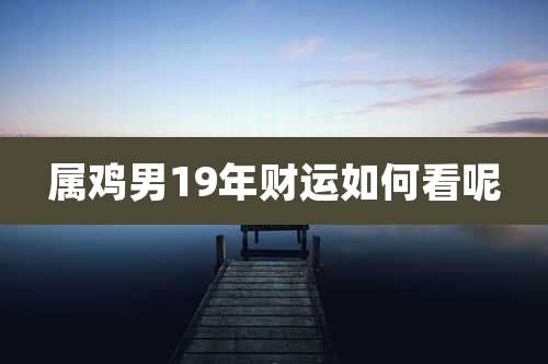 属鸡男19年财运如何看呢