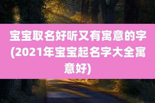 宝宝取名好听又有寓意的字(2021年宝宝起名字大全寓意好)