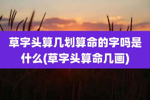 草字头算几划算命的字吗是什么(草字头算命几画)
