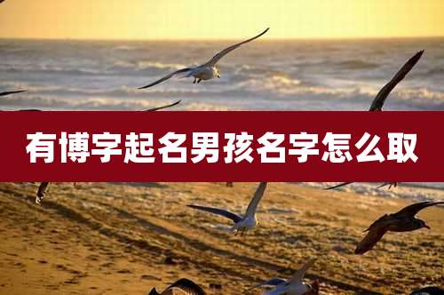 有博字起名男孩名字怎么取