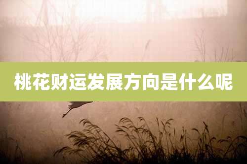 桃花财运发展方向是什么呢