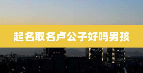 起名取名卢公子好吗男孩