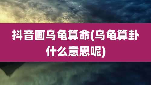 抖音画乌龟算命(乌龟算卦什么意思呢)